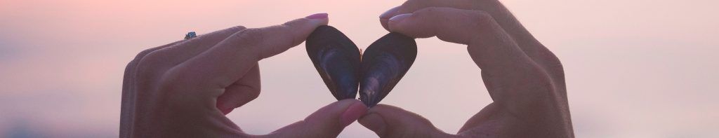 heart-shell_header_col