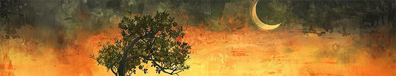 y7mj_senset-moon-olive-tree_header_col