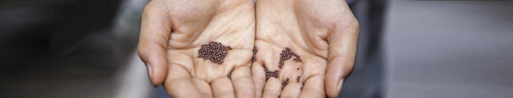 mustard-seed_header_col