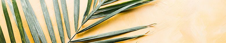 palm-frond-cream-bg_header_col