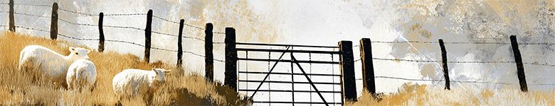 mj_sheep-fold-01_header_col
