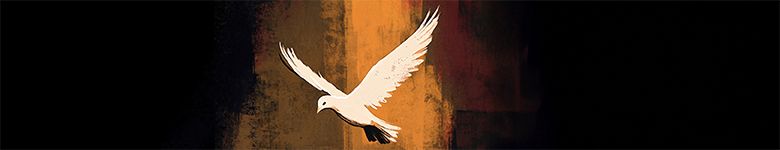 y7mj_dove-holy-spirit-01_header_col