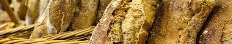 BreadLoaves_header_col