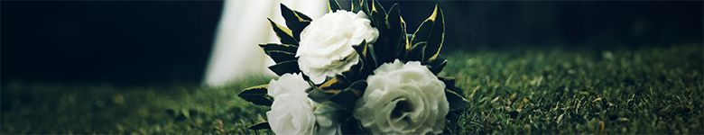 wedding-bride-groom-flowers_header_col (1)
