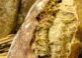 BreadLoaves_header_col