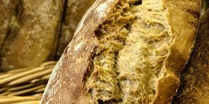 BreadLoaves_header_col