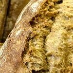 BreadLoaves_header_col
