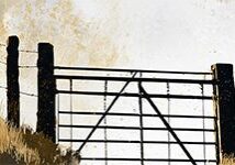 mj_sheep-fold-01_header_col