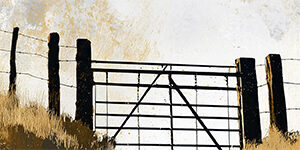 mj_sheep-fold-01_header_col