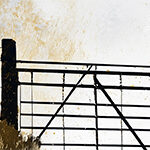 mj_sheep-fold-01_header_col