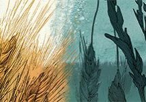 mj_wheat-and-darnel-01_header_col