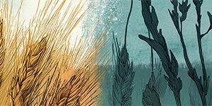 mj_wheat-and-darnel-01_header_col