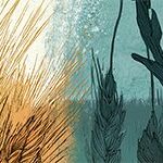 mj_wheat-and-darnel-01_header_col