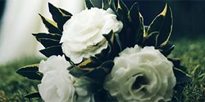 wedding-bride-groom-flowers_header_col (1)