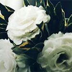 wedding-bride-groom-flowers_header_col (1)