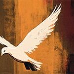 y7mj_dove-holy-spirit-01_header_col
