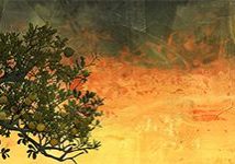 y7mj_senset-moon-olive-tree_header_col